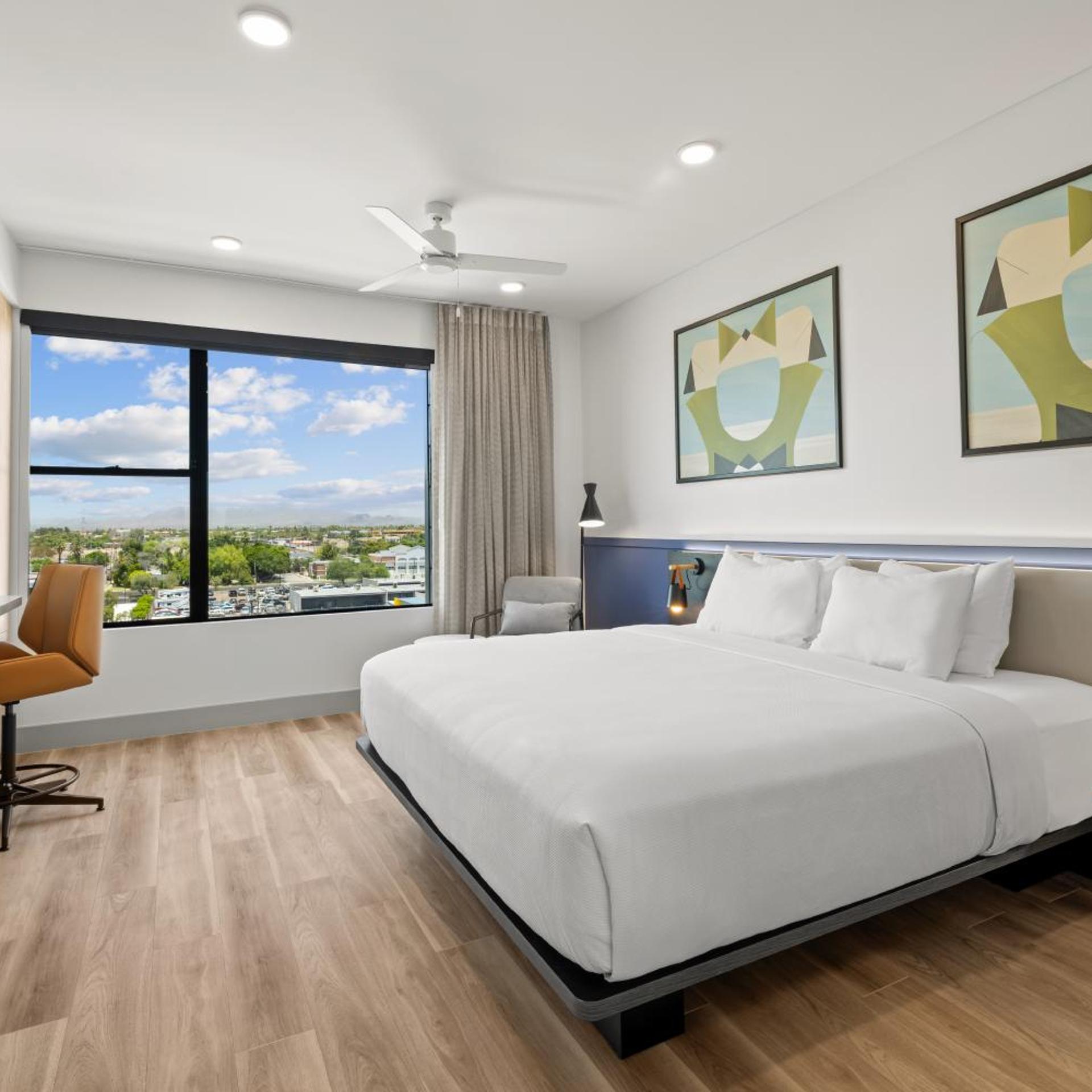 Studio, Suite, King Bed, Kitchen