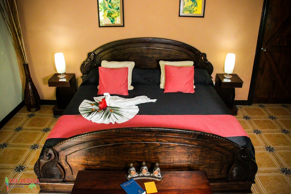 Ara Ambigua Lodge 12/50