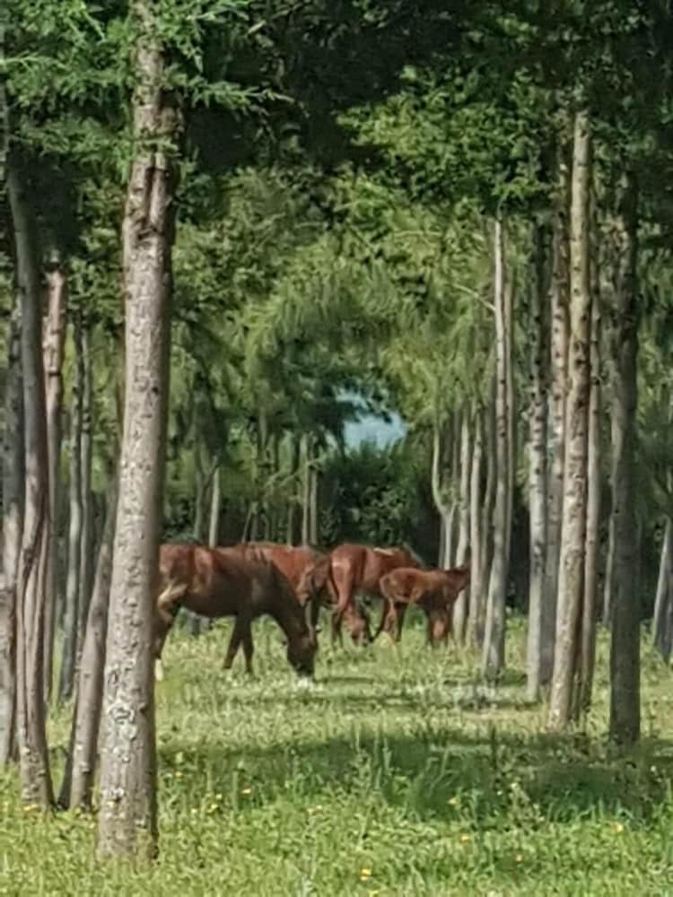 Samawati Conservancy Lake Ol Bolossat 33/42