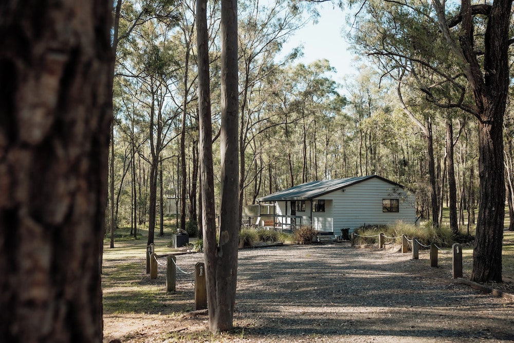 Wild Woods at Pokolbin 31/43
