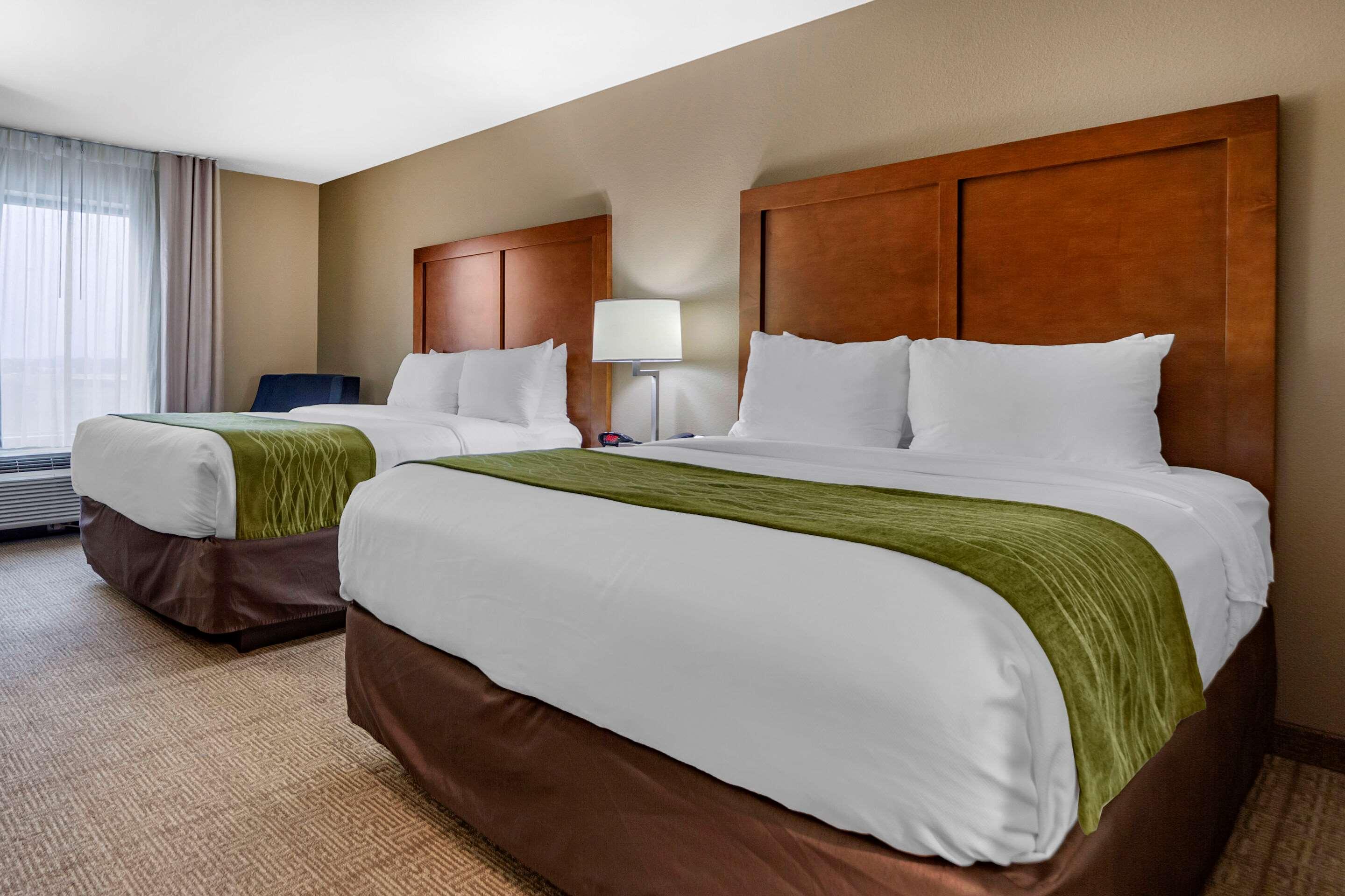 Room, Quadruple, 2 Queen Beds