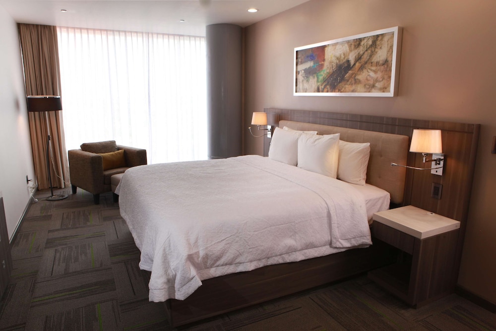 Hampton Inn Suites By Hilton Aguascalientes Airport 19/58