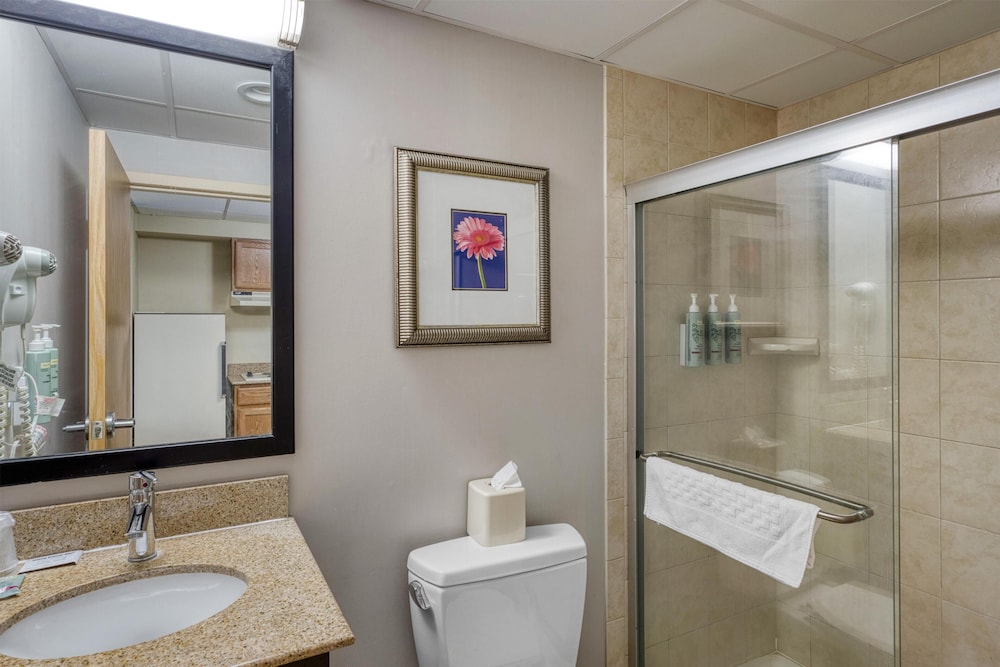 غرفة قياسية بسرير كينج مع أريكة، Best Western Owego Inn 5/6