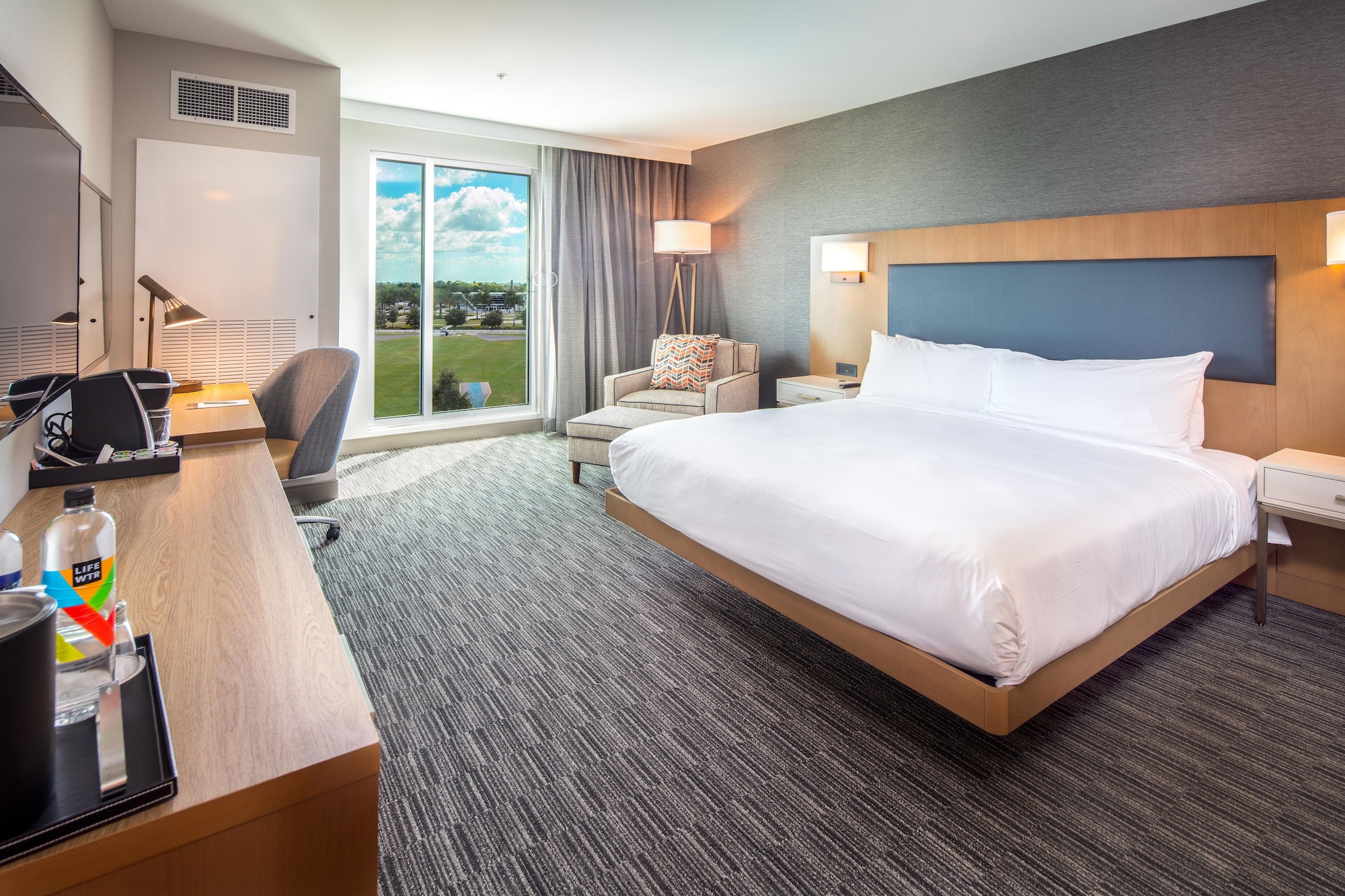ROOM, KING BED, ACCESSIBLE