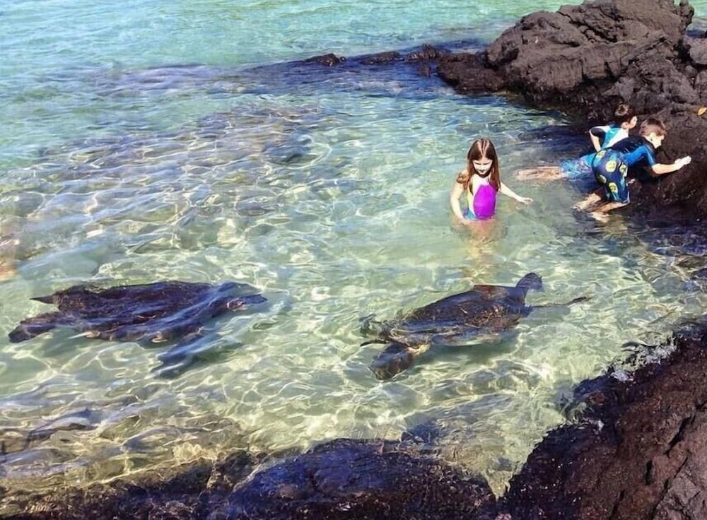 Island Goode's - Luxury Adults Only Accommodation 40/50