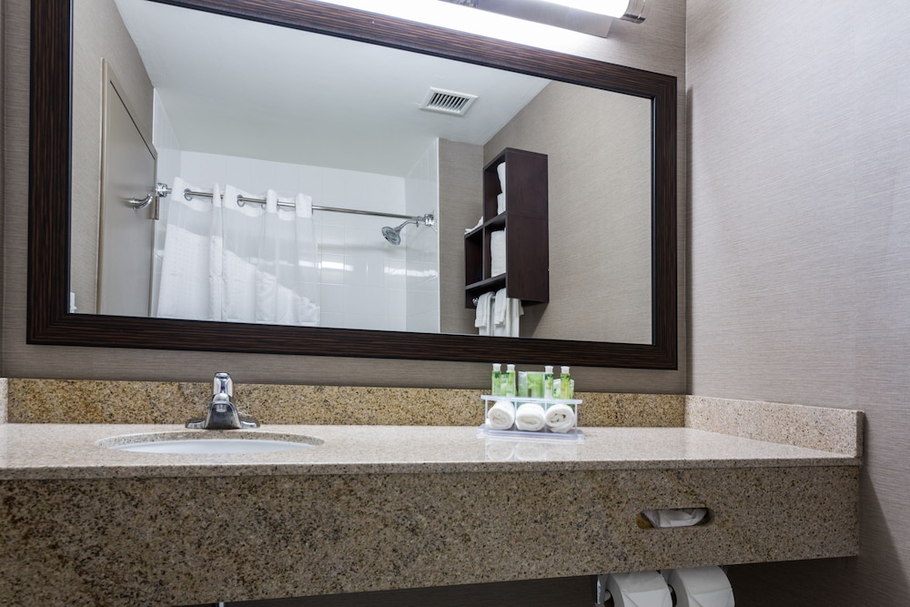 Holiday Inn Express and Suites Naples Downtown 25/64