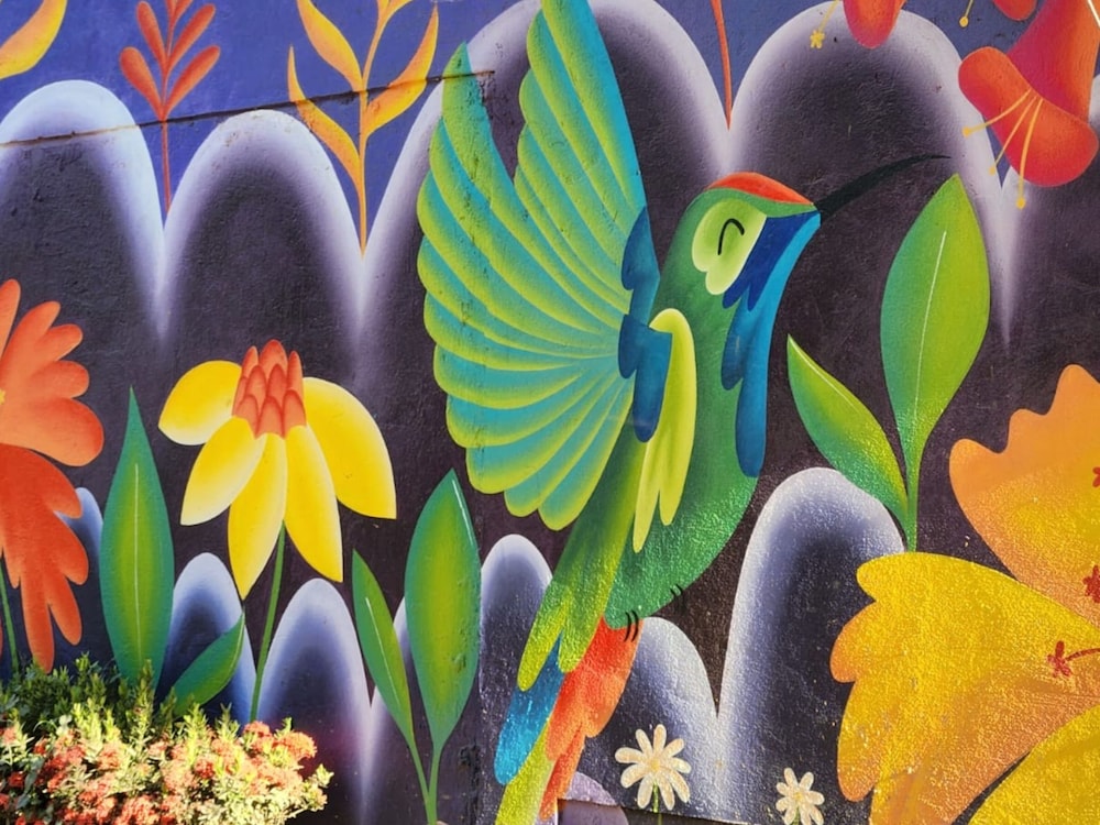Casa Colibri Palomino 43/50