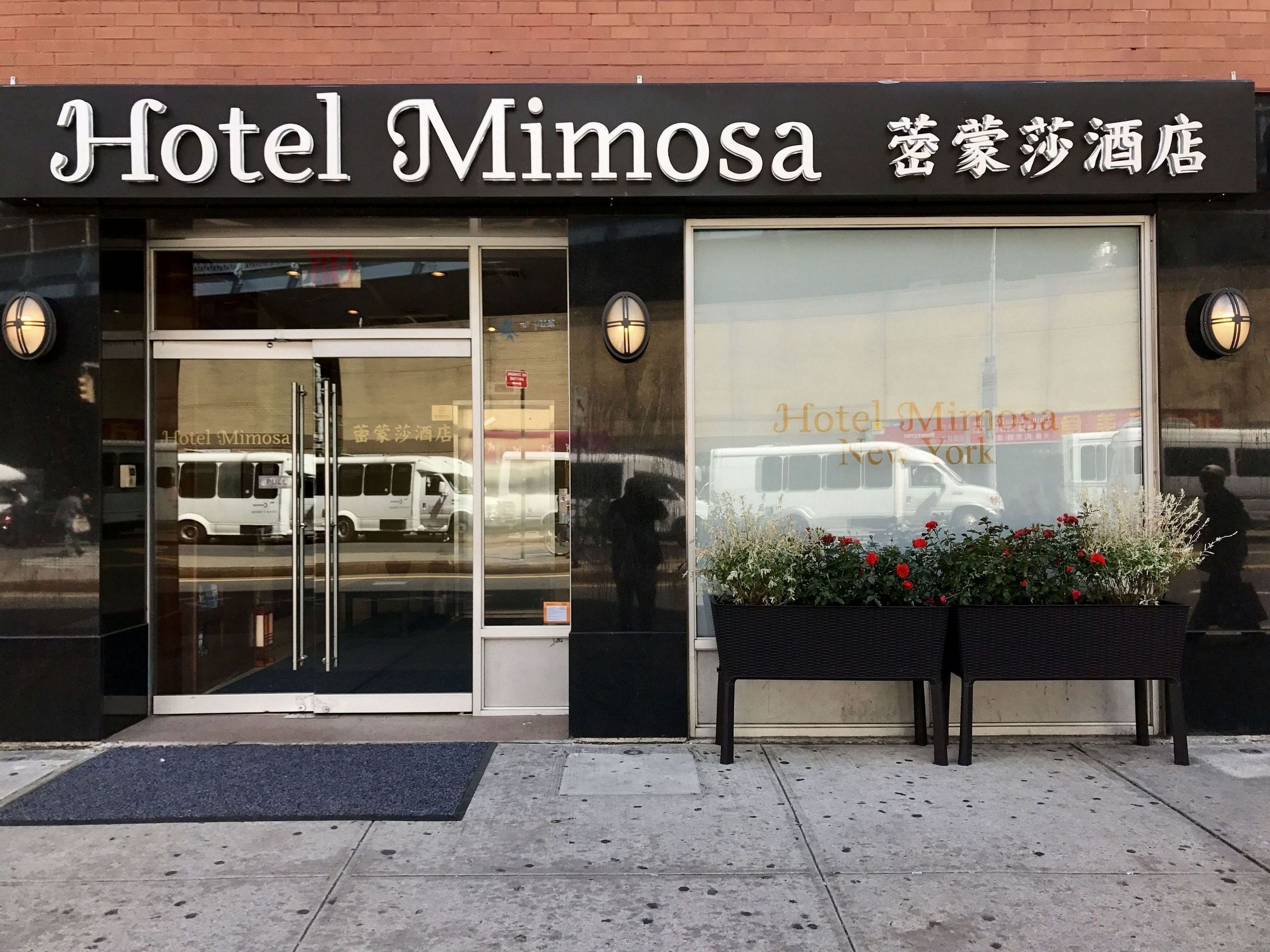 Hotel Mimosa 3/37