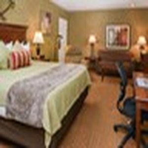 Best Western Plus Black Oak 30/76