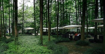 Lotus Glade Hotel 39/50