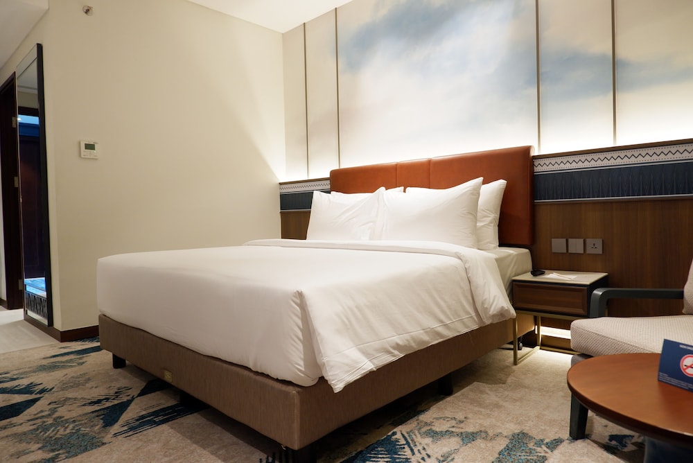 Grand Anara Airport Hotel 11/50