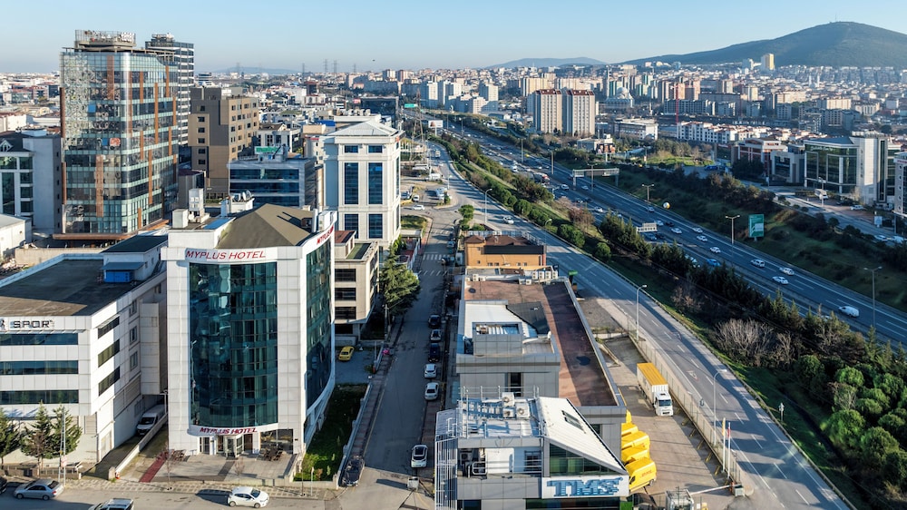 Asia Artemis Suite 42/50