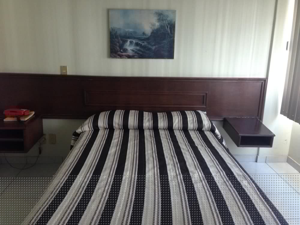 Hotel Plaza Sahuayo 23/52