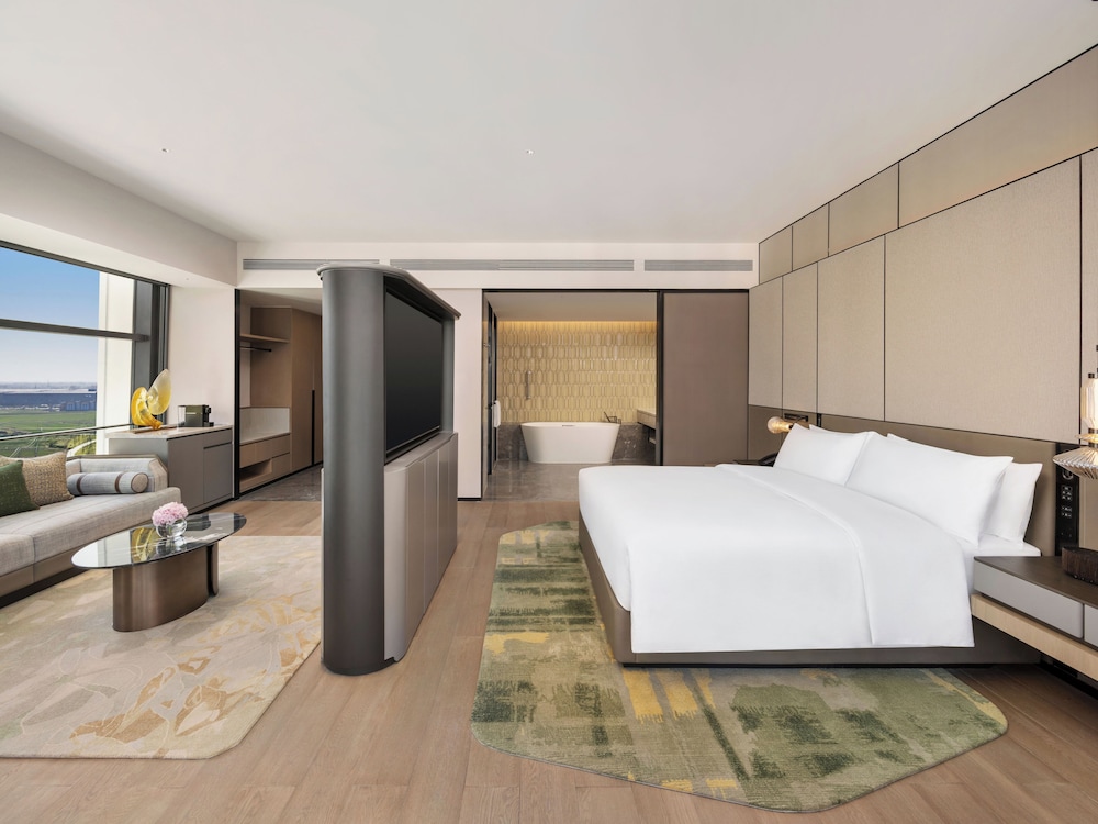 DoubleTree by Hilton Zhengzhou Airport Aerotropolis 11/43