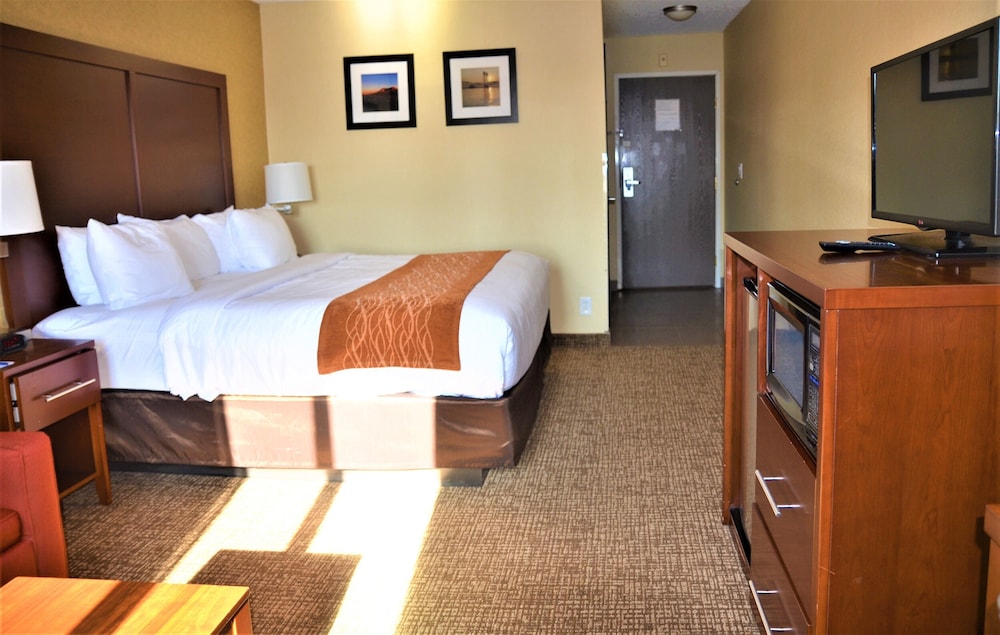 Comfort Inn & Suites Vancouver Downtown City Center 19/48