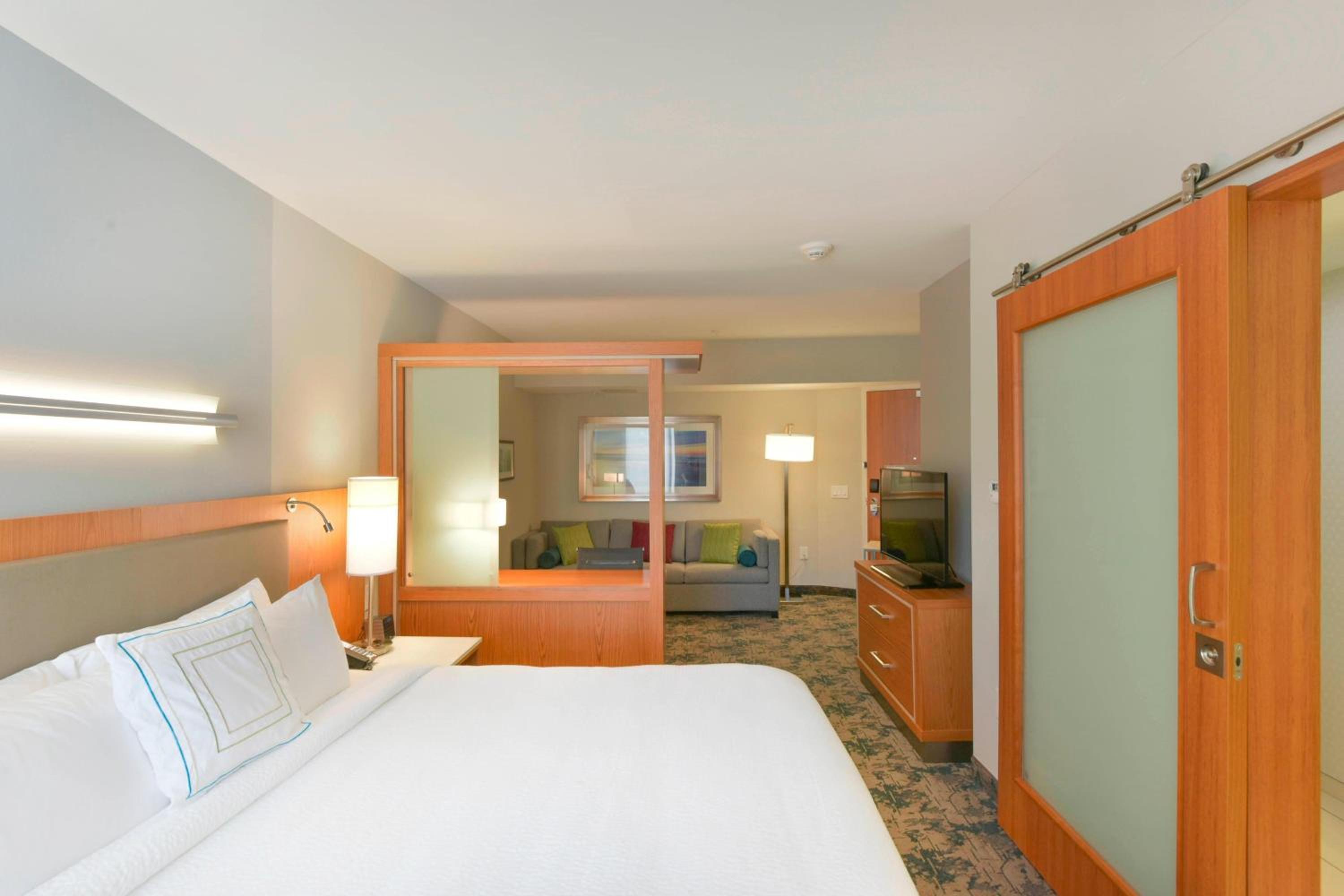 Suite, King Bed, Sofa, Bathtub, Accessible