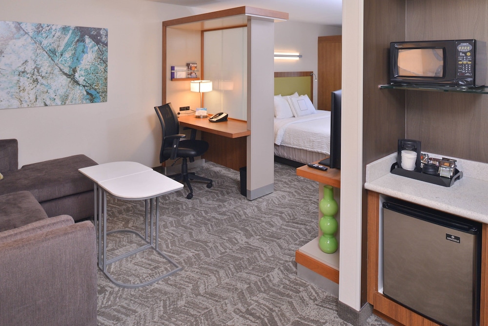 جناح بسرير كينج مع أريكة لذوي الإعاقة، Springhill Suites By Marriott 3/3