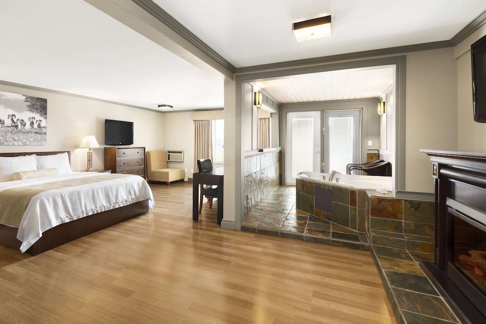Efficiency, King Bed