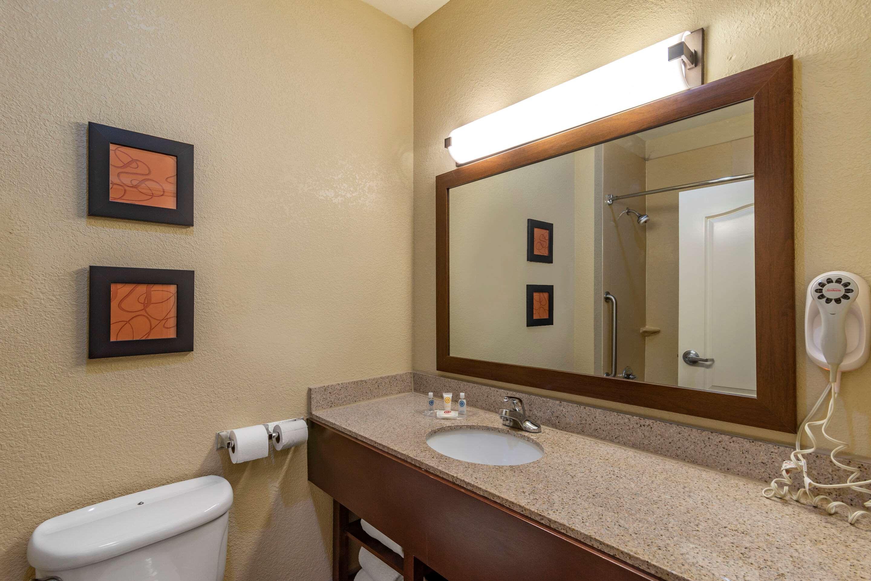 جناح لذوي الإعاقة، Comfort Suites Montgomery East Monticello Dr 5/6