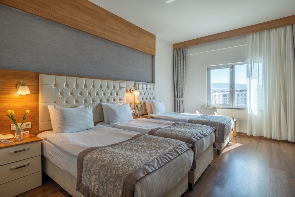 Parion Hotel 12/67