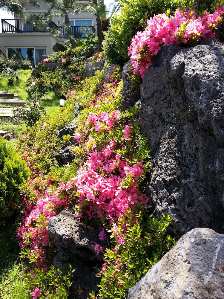 T Island Resort 64/73