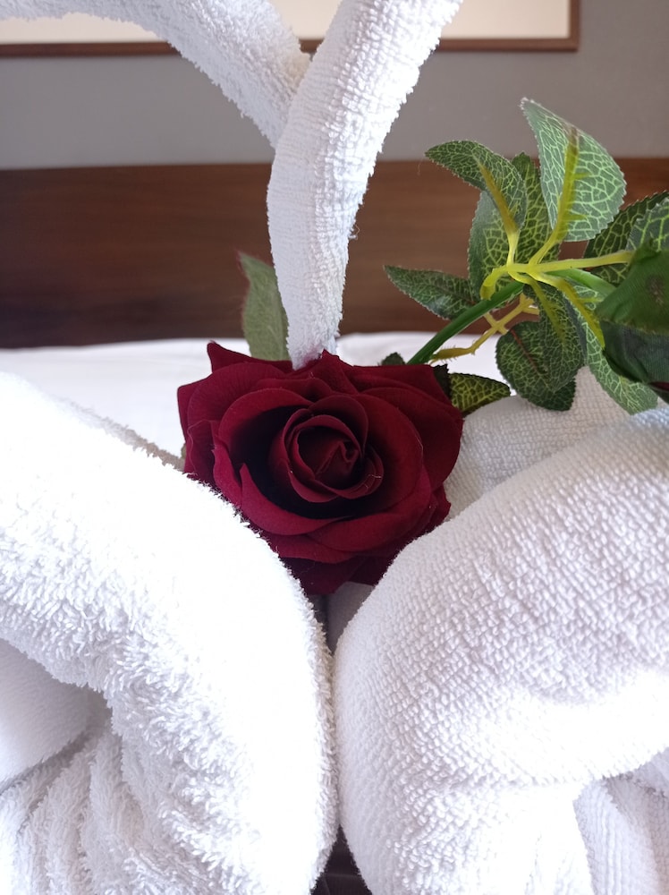 Romalive Hotel 24/41