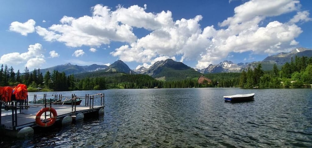 HOTEL CROCUS 39/50
