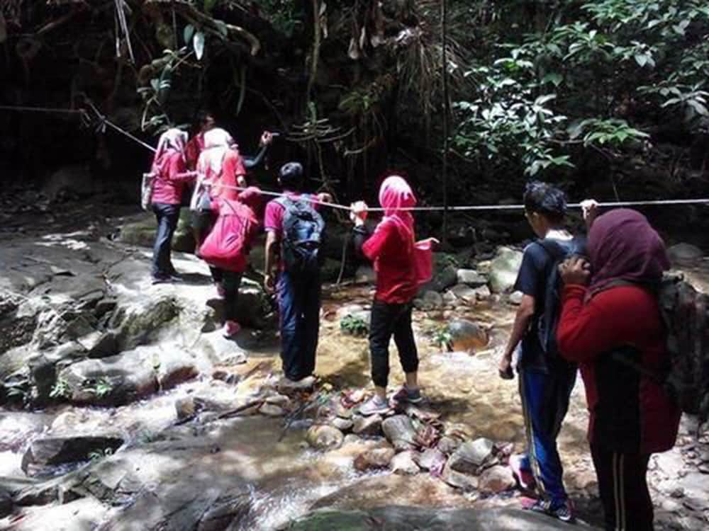 Belum Rainforest Resort 40/50