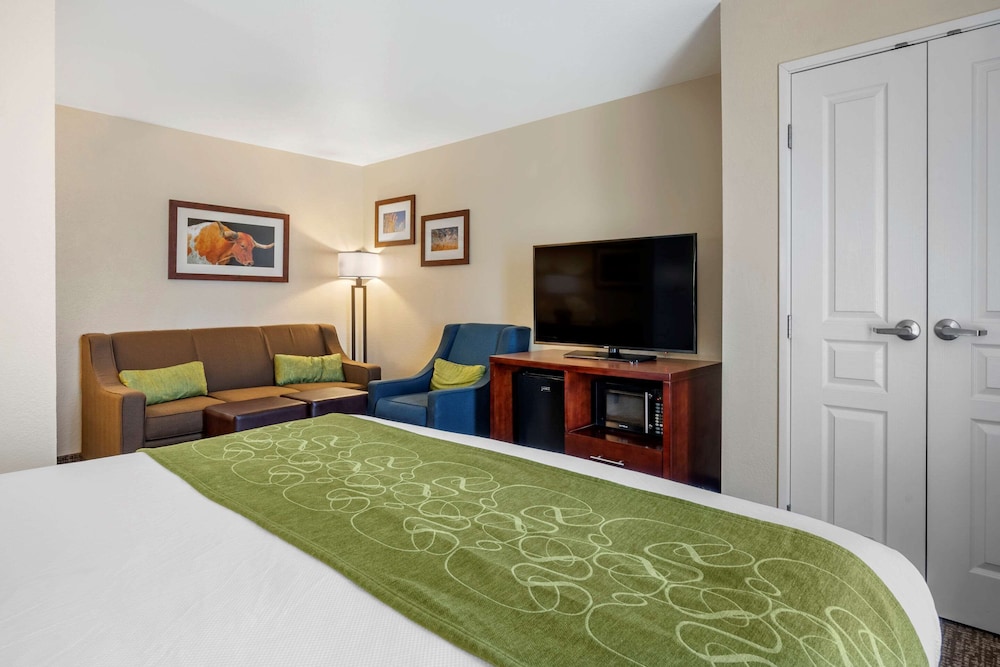 Comfort Suites Fernley 6/34