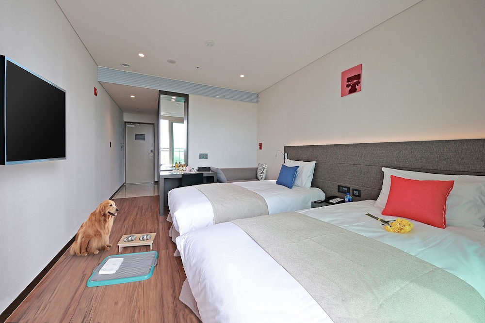 Park, Premier, Twin Beds, Ocean View, Pet Friendly, Terrace