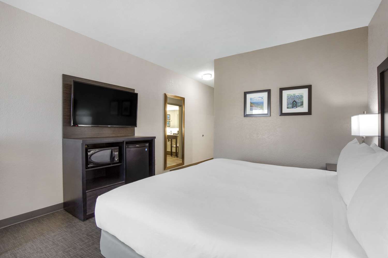 Room, King Bed