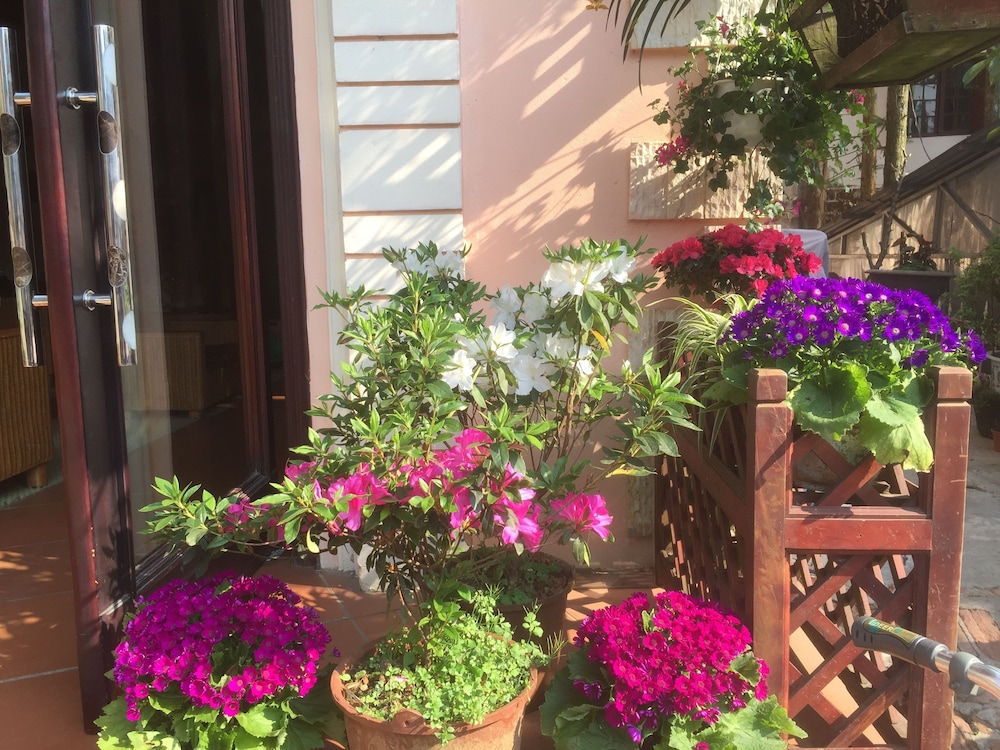 Thai Binh Sapa Hotel 39/43