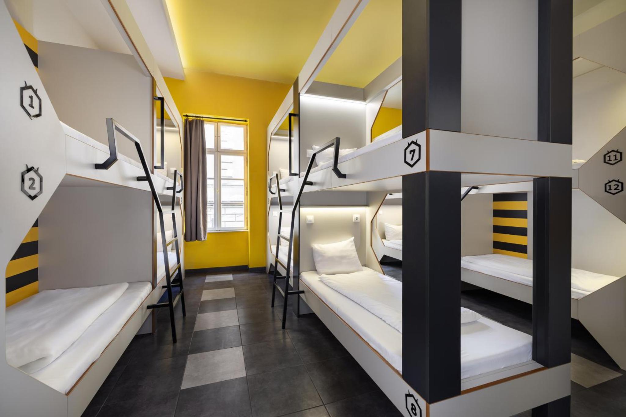 Mixed Dorm, 12 People