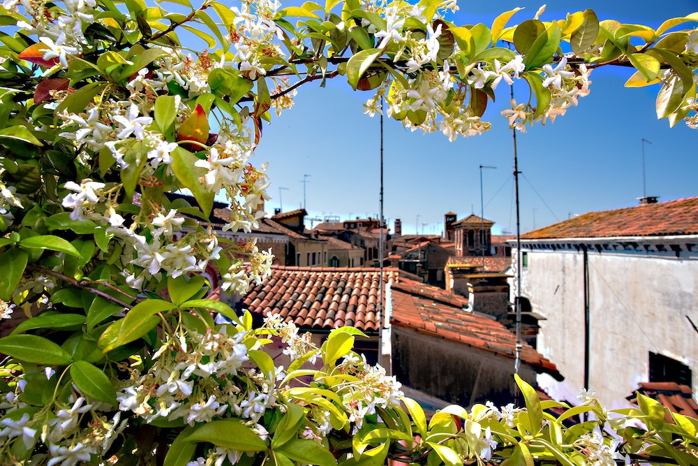 Ca San Giorgio 38/50