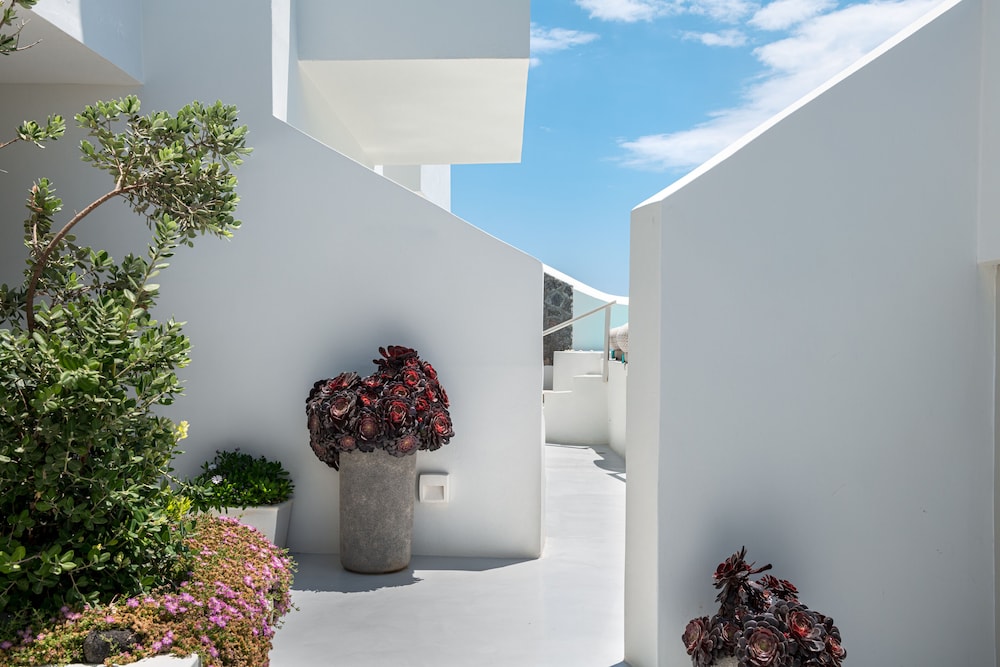 Akra Suites & Spa 7/50