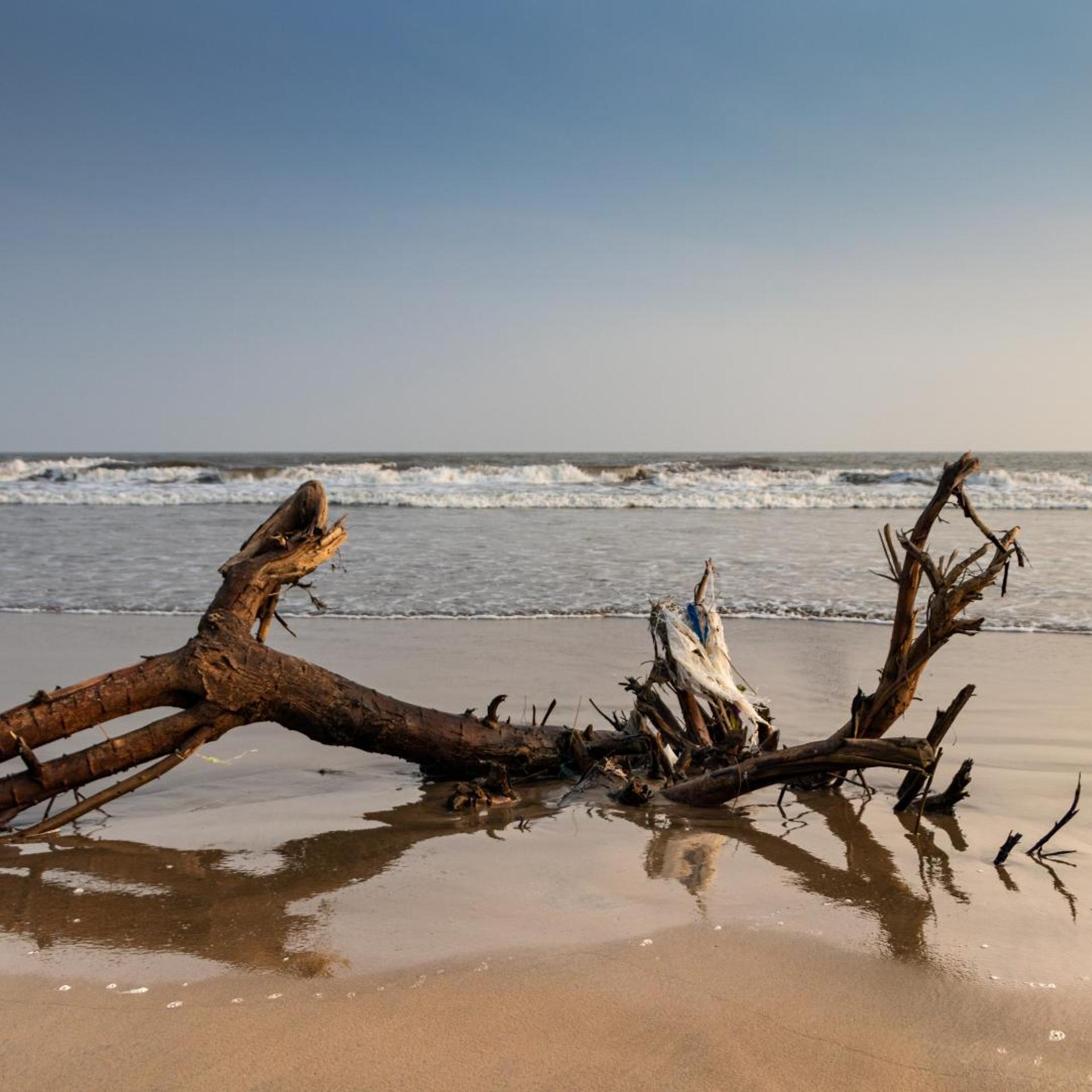Dindi RVR, on the Godavari, A Club Mahindra Associate Resort in Andhra Pradesh 35/52