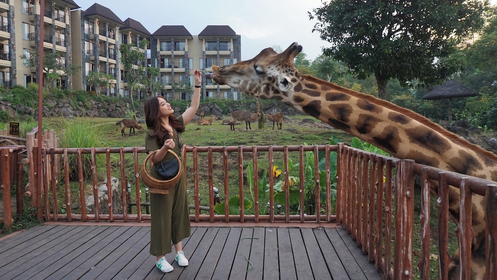 Baobab Safari Resort 34/39