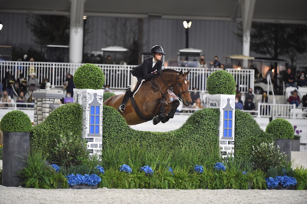 The Equestrian 31/36