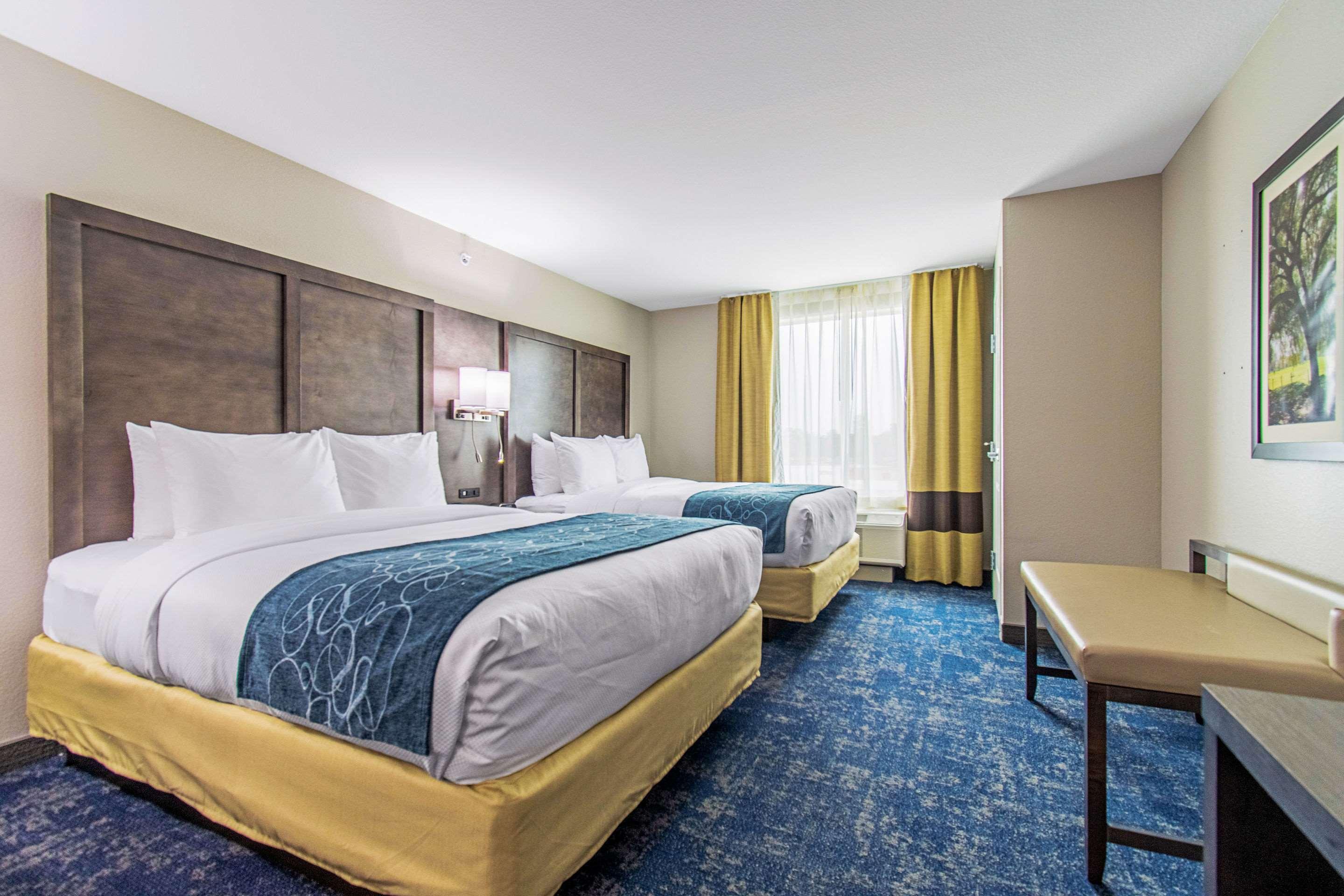 جناح بسريرين كوين