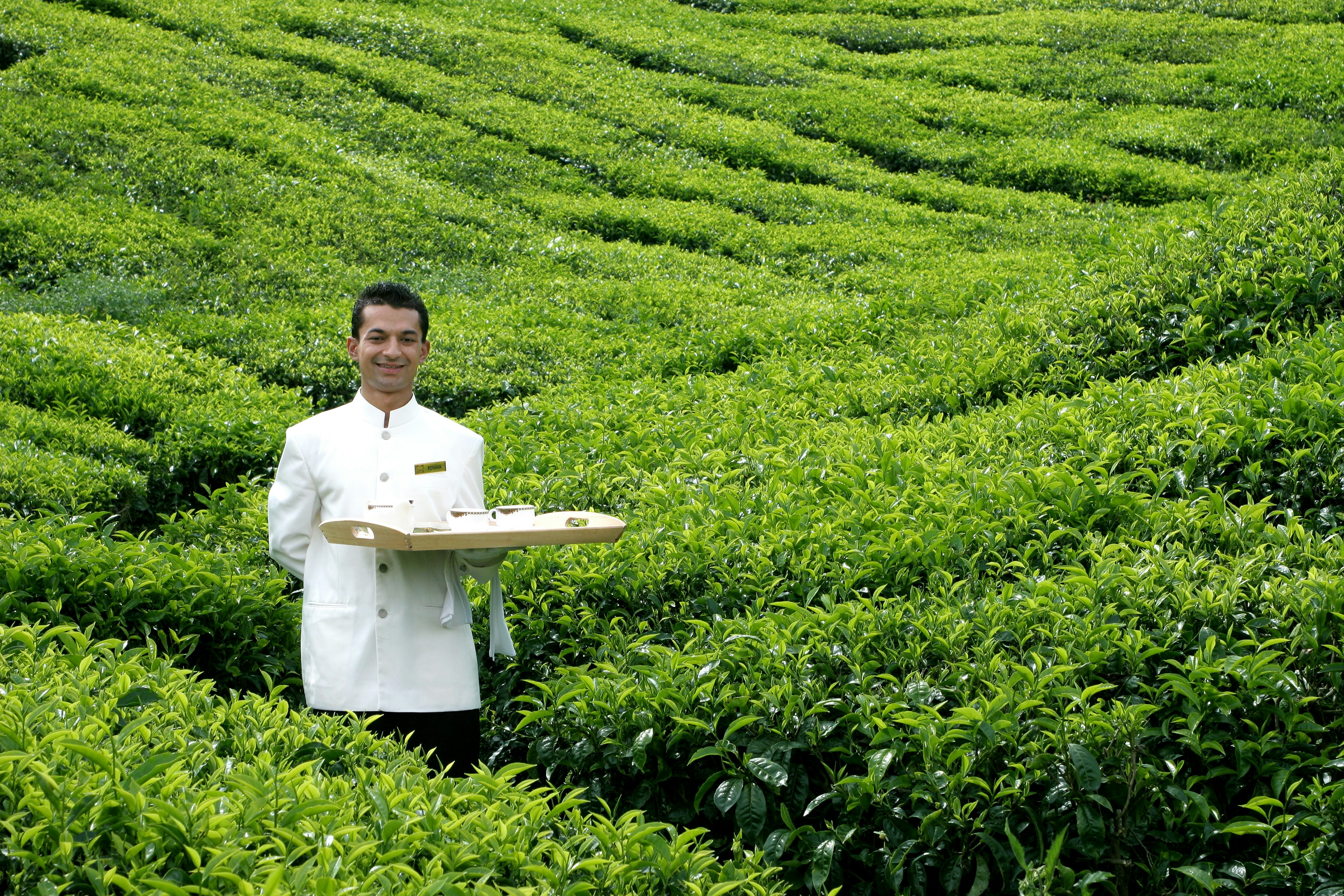 CAMERON HIGHLANDS RESORT 68/74