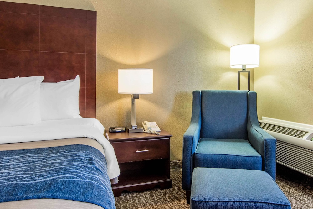 Comfort Inn Atlanta Downtown South 10/34