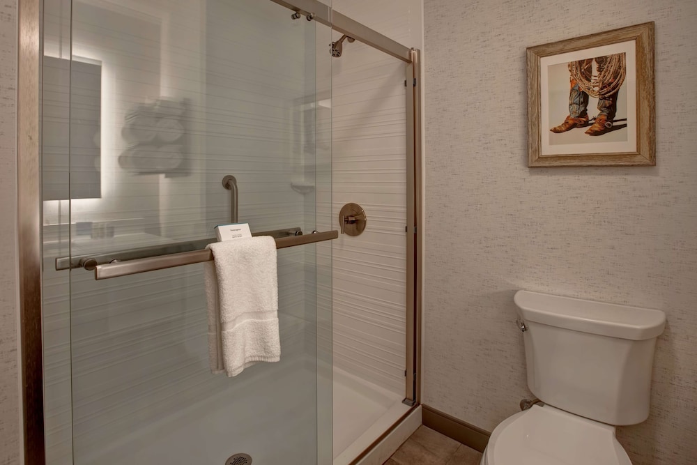 Hampton Inn & Suites San Antonio Riverwalk 31/77