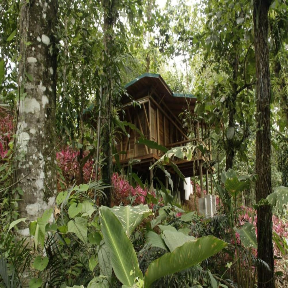 Macaw Lodge 62/64