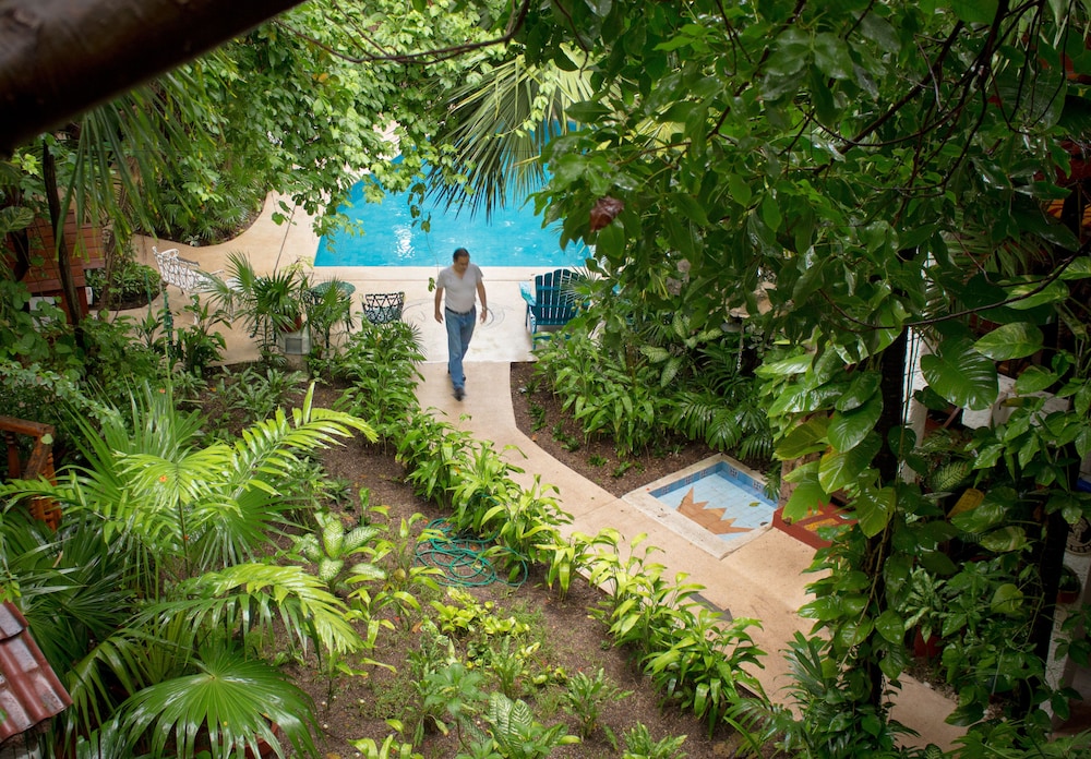 Eco Hotel El Rey del Caribe 41/50