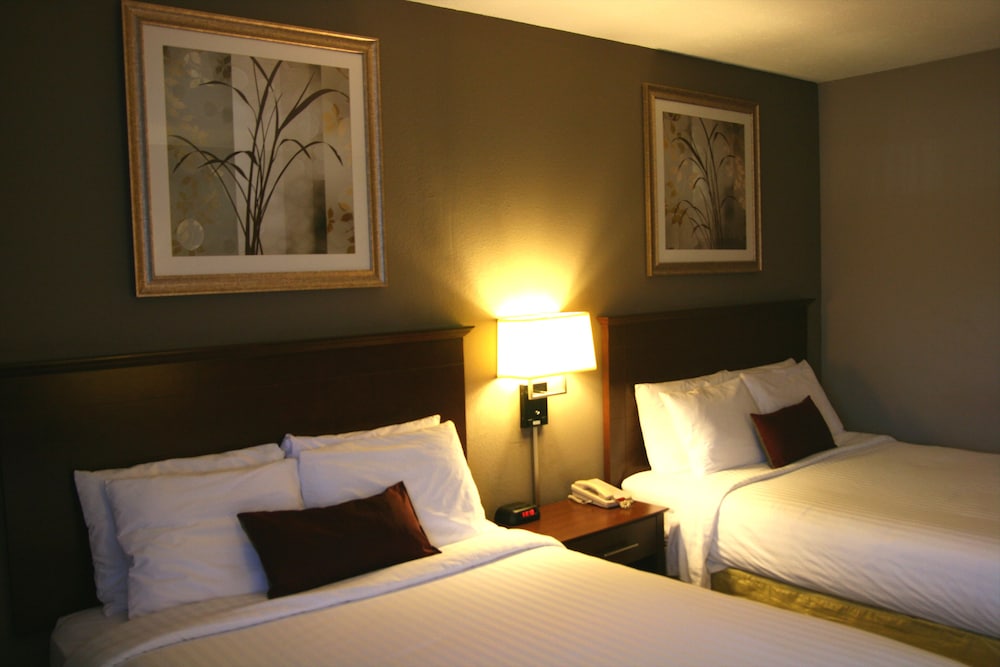 Carpenter Street Hotel 12/37