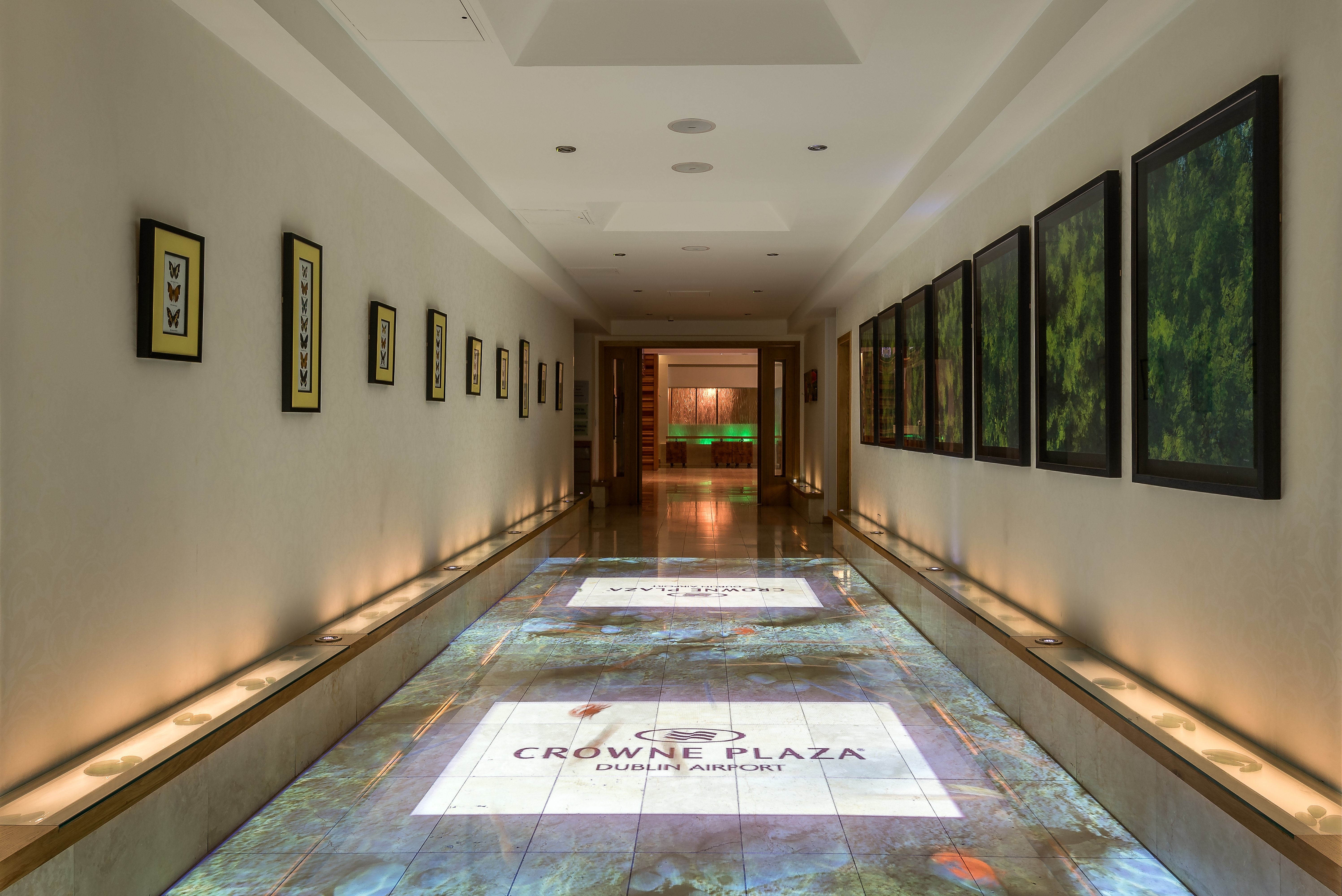 Crowne Plaza Dublin Airport 6/50