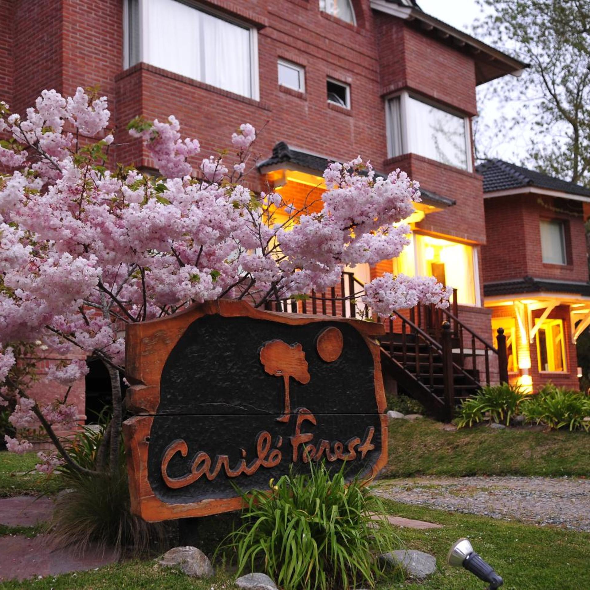 Carilo Forest 4/50