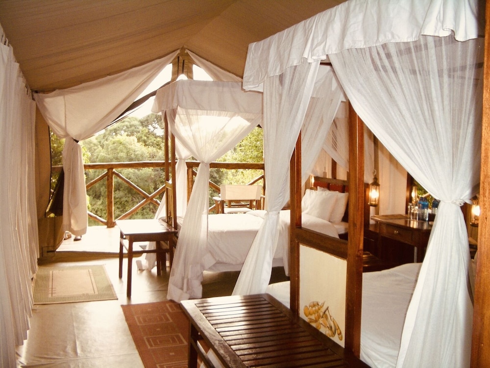 Fig Tree Camp 15/45
