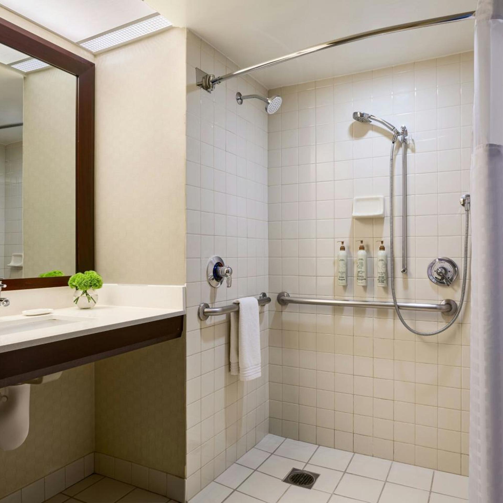 غرفة بسرير كينج بحوض استحمام لذوي الإعاقة، Renaissance Los Angeles Airport Hotel 3/10