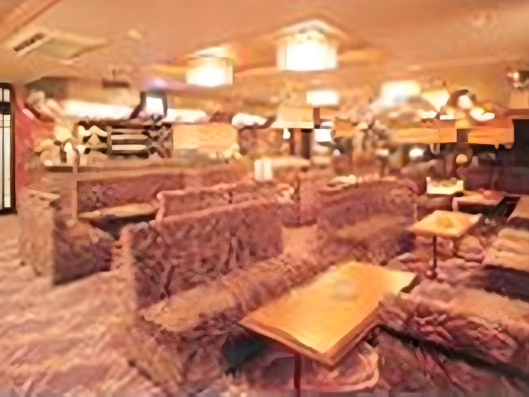 Hotel Hamarikyu 27/32